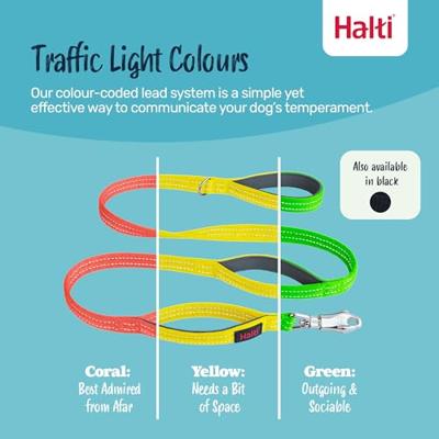 Hondentuigje Company of Animals L