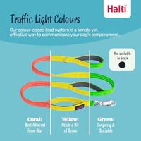 Hondentuigje Company of Animals L - thumbnail