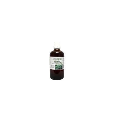 Cruydhof Thuja occidentalis / levensboom tinctuur 100 Milliliter