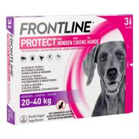 Frontline Protect Spot On Opl Hond 20-40kg Pipet 3 - thumbnail