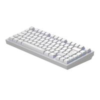 Dark Project ALU81A Terra Nostra Mechanisch gaming-toetsenbord, ISO Multi | Hot-Swap | G3MS Moonstone Gevette Schakelaar | Ingevette stabilisatoren | Flex Gasket Mount | Aluminium | 75% | RGB - thumbnail