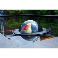 Velda Drijvende Vissen Koi Vis Gezondheidszorg View Bol Vijver Water Tuin - thumbnail