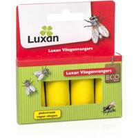 Vliegenvangers Luxan - Luxan - thumbnail