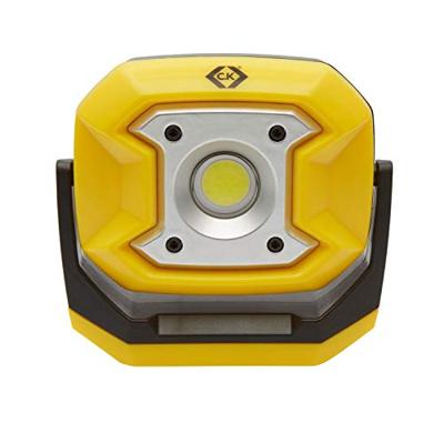 C.K Bouwlamp 10 W 700 lm