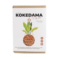 Gift Republic DIY - De Kunst van Kokedama - thumbnail