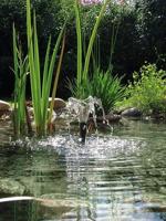 Pontec PondoVario 750 Waterspelpomp 720 l/h - thumbnail