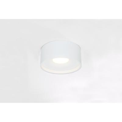 Artdelight Strakke plafondlampOran Ø 12cm wit - PL ORAN WI