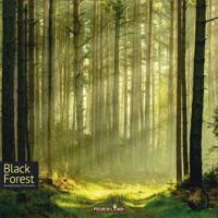 Black Forest - thumbnail