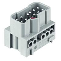 HARTING Stekkerinzetstuk 19410102601 Inhoud: 1 stuk(s) - thumbnail