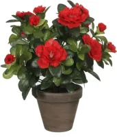 Decoratieve plant Mica Decorations 10,5 x 21,5 x 15 cm Azalea - thumbnail
