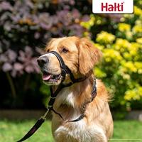 Trainingshalsbanden voor honden Company of Animals Halti Zwart Muilkorf (46-62 cm) - thumbnail