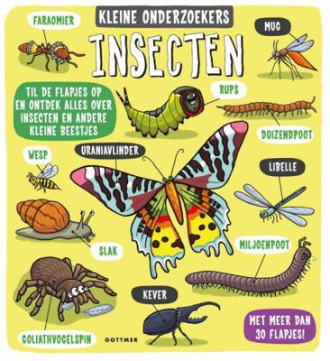 Insecten Insecten