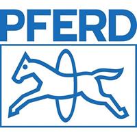 PFERD TOOLS 11234207 Houtrasp rond kap 2 incl. ergonomisch vijlheft Lengte 200 mm 1 stuk(s) - thumbnail
