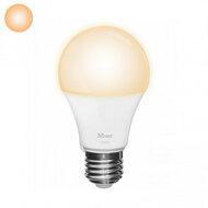 ZLED-2209 Dimbare Zigbee E27 LED Lamp - Flame Wit - thumbnail