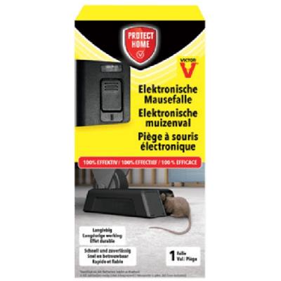 Muizenval Elektronisch 1st Muizenval Elektronisch 1st