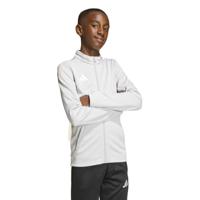 adidas Entrada 26 Trainingsjack Kids Grijs Wit - thumbnail