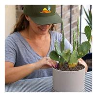 Gebogen hittepers - CRICUT - Blauw - thumbnail