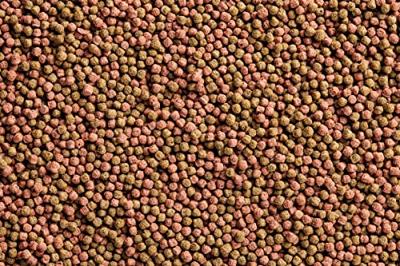 Oase Dynamix Koi Pellets Small koivoer - 1 liter