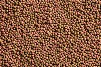 Oase Dynamix Koi Pellets Small koivoer - 1 liter - thumbnail