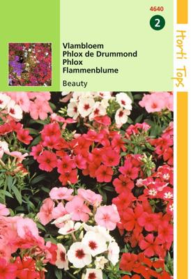 Zaden Phlox Vlambloem Beauty gemengd Hortitops - Hortitops