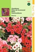 Zaden Phlox Vlambloem Beauty gemengd Hortitops - Hortitops - thumbnail