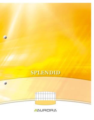 Cursusblok Aurora A4 ruit 4x8mm 2-gaats 200 pagina&apos;s 70gr