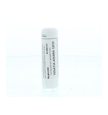 Homeoden Heel Ignatia amara 12CH 6 Gram Homeoden Heel Ignatia amara 12CH 6 Gram
