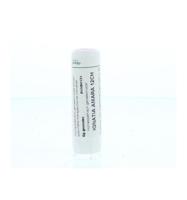 Homeoden Heel Ignatia amara 12CH 6 Gram - thumbnail