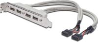 Digitus AK-300304-002-E 4 x USB A 2 x IDC (10-pin) Beige kabeladapter/verloopstukje - thumbnail