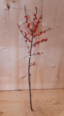 Kerstgroen tak met bessen Warentuin Natuurlijk - Warentuin natuurlijk