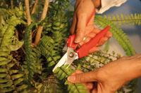 Bessey Combischaar recht D48 - D48 - thumbnail