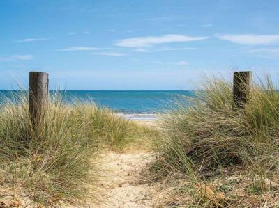 Duinpalen 70x50cm Tuinschilderij Customize-it - Customize it Duinpalen 70x50cm Tuinschilderij Customize-it - Customize it