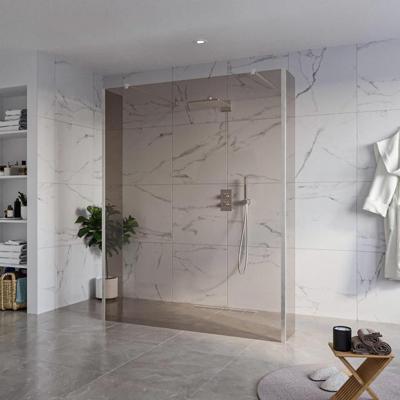 Fortifura Galeria Vrijstaande Inloopdouche - 160x200cm - Rookglas - antikalk - 8mm veiligheidsglas - 2 zijwanden 40cm - wandsteunen en hoekprofielen - Geborsteld RVS PVD (RVS) SW927769 2x/SW797942/SW797934 2x/SW798730 2x