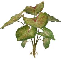 Caladium raspberry kunstplant 40cm - thumbnail