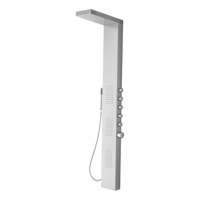 Wiesbaden RVS douchekolom Ohio met thermostatische kraan