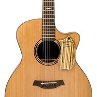 Schlagwerk SJ110Z SamJam Zebrano percussie-effect - thumbnail