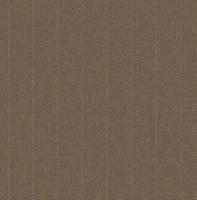 Dutch Wallcoverings Sauvage Streep - Bruin - thumbnail