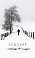 Hersenschimmen (Paperback) - thumbnail