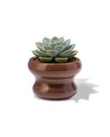 HEMA Bloempot ⌀13x9cm keramiek blob bruin (donkerbruin) - thumbnail