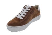 Hartjes 162.1401/31 - alle - thumbnail