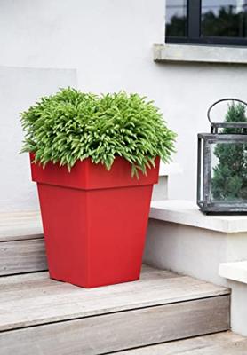 EDA Tuscan Rood Polypropyleen Vierkant 39 x 39 x 53 cm