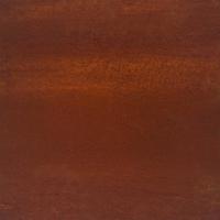 VidaXL Privacyscherm grijs 100 x 50 x 180 cm cortenstaal - thumbnail