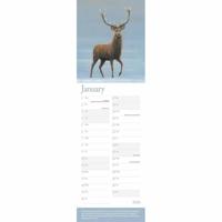 Robert Fuller British Wildlife Kalender 2026 Slimline - thumbnail