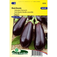 Aubergine zaden Black Beauty - thumbnail
