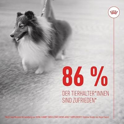 Royal Canin Skin & Coat Chews voedingssupplement hond 240 g