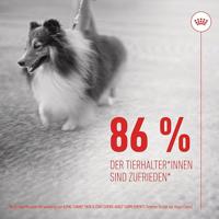 Royal Canin Skin & Coat Chews hond supplement 240 gram - thumbnail