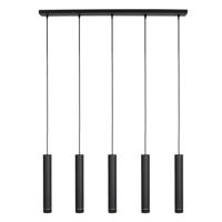 Steinhauer Strakke hanglampDownLume 5-lichts - 4216ZW - thumbnail