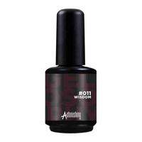 Astonishing Nails Gelosophy #011 Wisdom 15ml - thumbnail