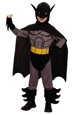 Batman Vleermuis heldenpak