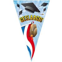 Mega puntvlag geslaagd - thumbnail